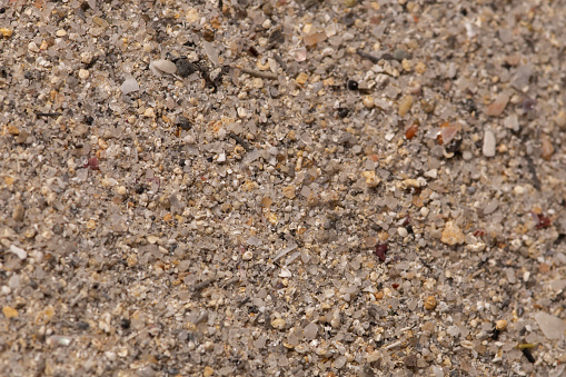 Texture of sand with little rocks and crushed shells