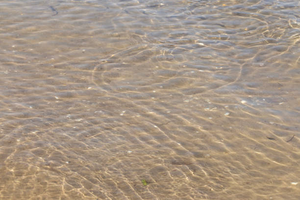 water backdrop - selective focus blurred motion undersea underwater zdjęcia i obrazy z banku zdjęć