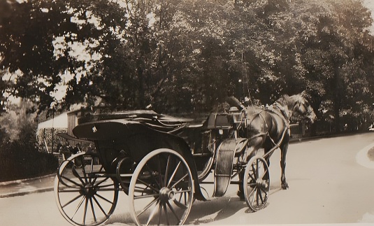 19th century horse and carriage