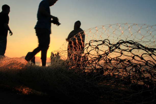 Silhouette fishermen are cleaning their nets and collecting fish on the beach at sunset. In the reddish-orange light of dusk, they diligently cleaned the nets of the day's catch. A peaceful atmosphere is created amidst the sparkling sea, while the sky welcomes the night with charming warmth  07/23/2017