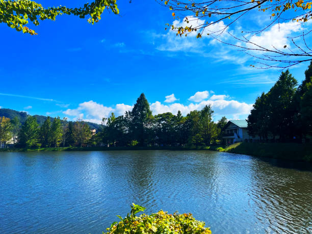 istock landscape of lake and blue sky 2001756025