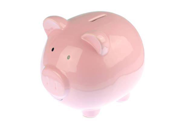 Pink piggy bank isolated on white background