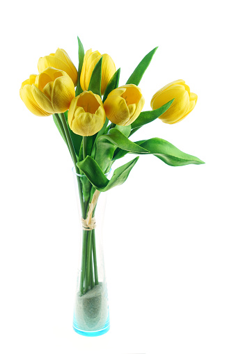 Bouquet of tulips on white background.