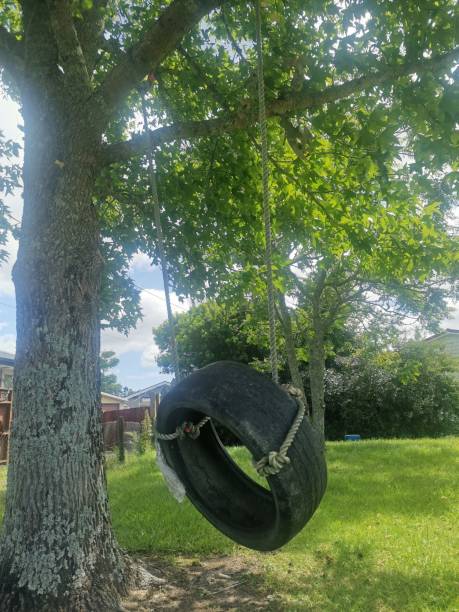 istock Car Tire Rope Swing 2001797870
