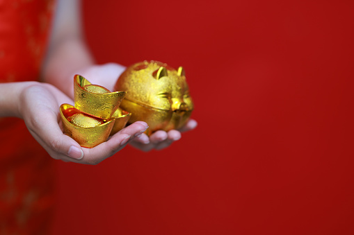 A cute Young Asian girl dressed in traditional cheongsam holds a gold ingot and a golden piggy bank on Chinese New Year's Day