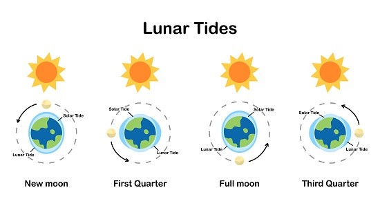 Lunar eclipse, Solar eclipse, astronomy, infographic, education