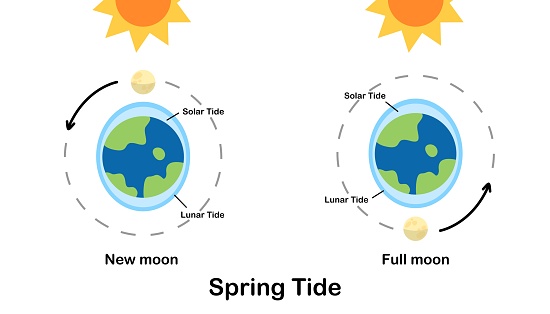 High tide, low tide, astronomy, infographic, education