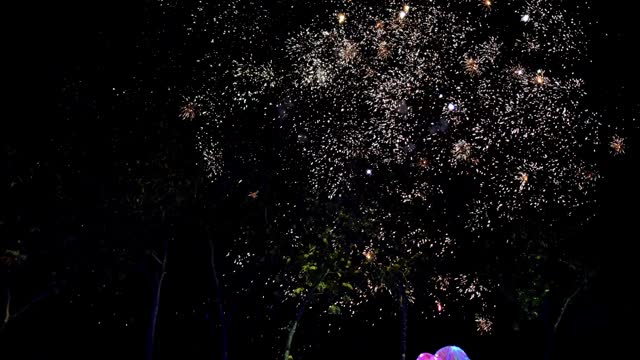 Video footage of the nighttime fireworks display at the Chiang Mai Flower Festival, Thailand.