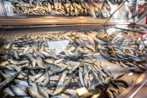 aegean fishes are ready to sell in showcase horizontal small business still, fish market. Ayvalık, Balıkesir,  Turkey 2024