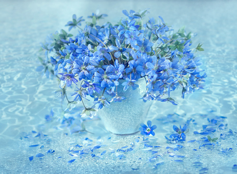 A bouquet of the first spring flowers of primroses in a vase on a table against the backdrop of the sea on a blue background. Blue forest primroses. Creative photography.