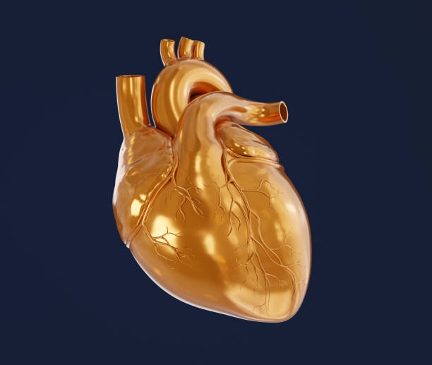 istock Golden human heart 3D illustration 2001950991