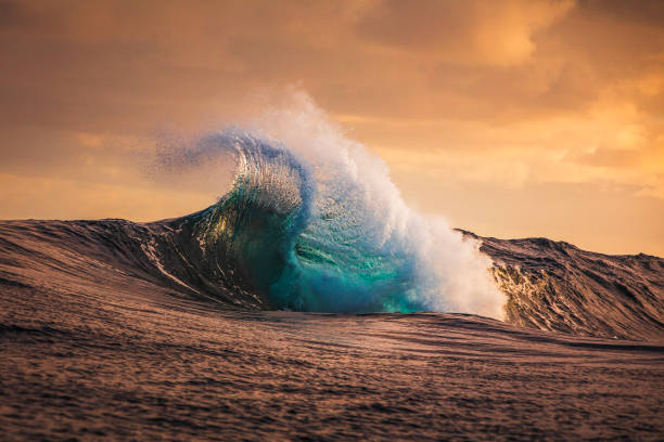 istock Unique wave shape on reef in the ocean with warm morning light 2001956270