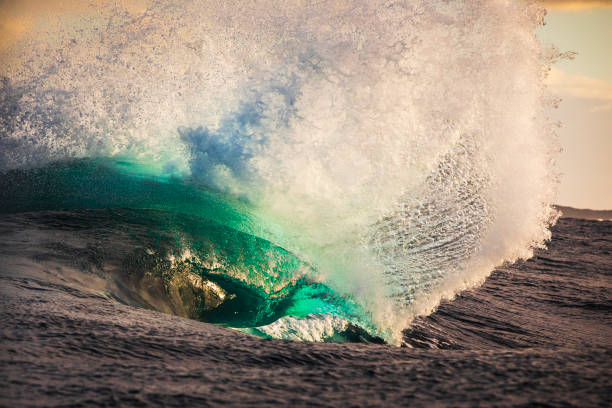 istock Unique wave shape on reef in the ocean with warm morning light 2001957304