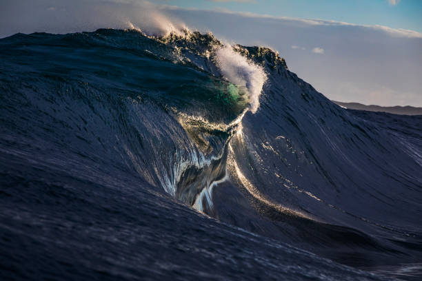 istock Unique wave forming on reef in the ocean with dramatic golden light 2001968724