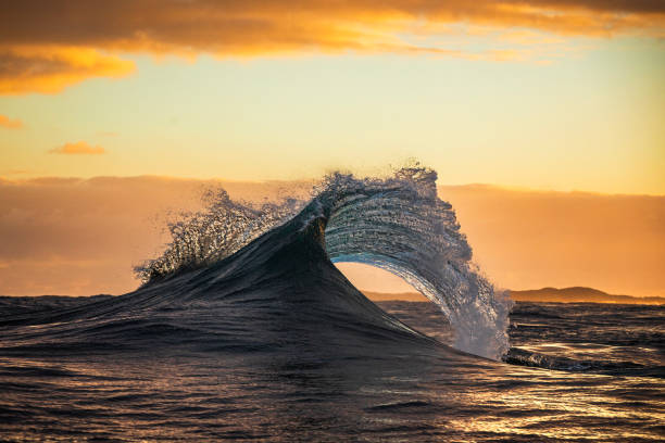 istock Unique wave shape on reef in the ocean with dramatic morning light 2001977131