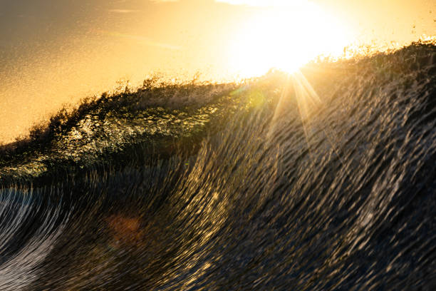 Sun flare over a breaking wave in the ocean with surface details, shot at sunrise while swilling in the ocean of Western Australia.