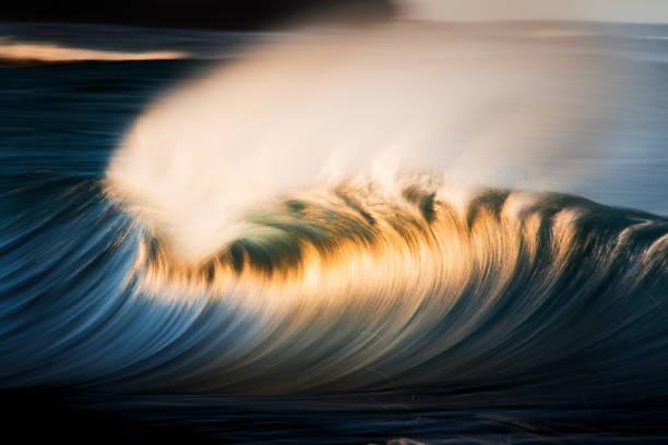 istock Slow shutter blur of smooth offshore wave forming over reef in the ocean with dramatic golden light 2002005440