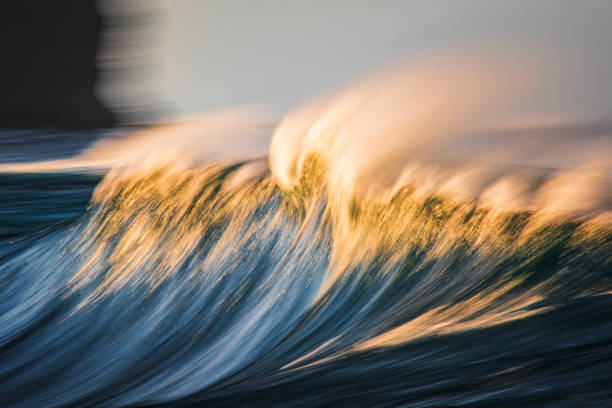 istock Slow shutter blur of smooth offshore wave forming over reef in the ocean with dramatic golden light 2002005463