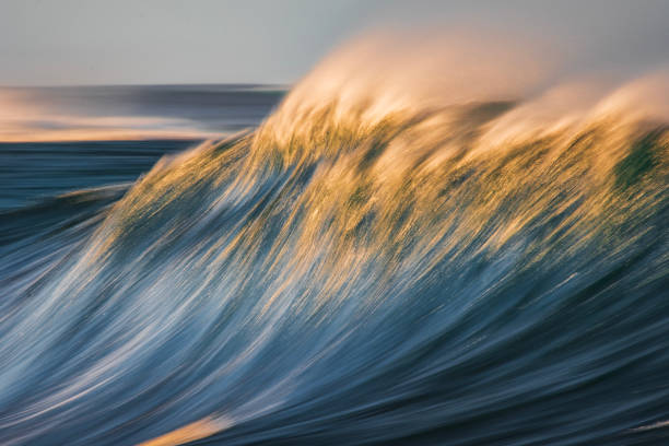 istock Slow shutter blur of smooth offshore wave forming over reef in the ocean with dramatic golden light 2002005977