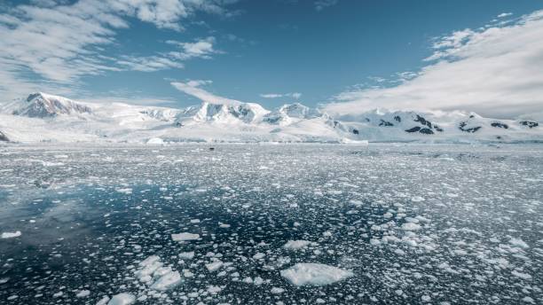 Antarctica Peninsula Glacier Bay Icebergs and Drift Ice