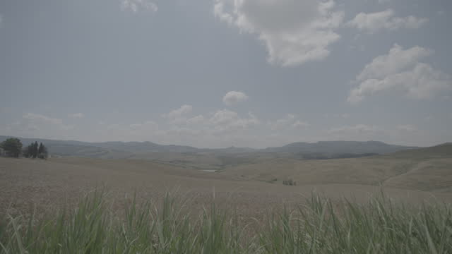 Shot of golden farm fields in Tuscany Italy landscape on a sunny day with blue sky and clouds on the horizon with dry plants grass in the foreground moving across in slowmotion LOG