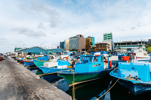 Vibrant blue fishing boats in the marina of the Malé fish market on the island of Maldives.