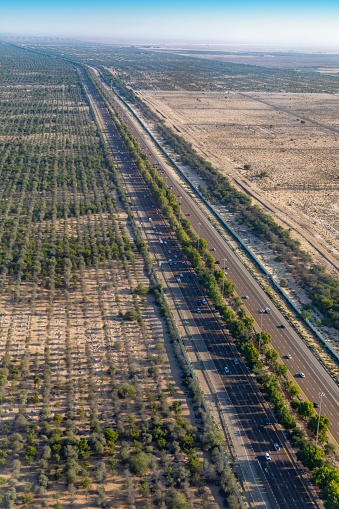 Aerial view of highway through the field of trees, Abu Dhabi to Dubai