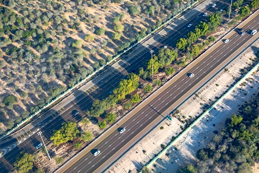 Aerial view of highway through the field of trees in Abu Dhabi, UAE