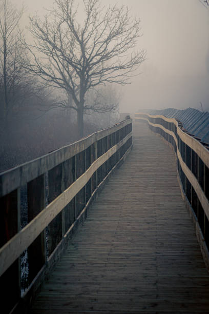 istock Old riverbed In Shrewsbury 2002128760
