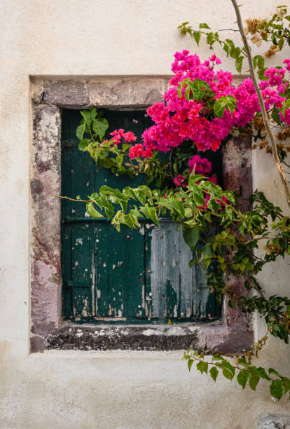 istock Green antique window surrounded by rose flowers. Mediterranean atmosphere. 2002160466