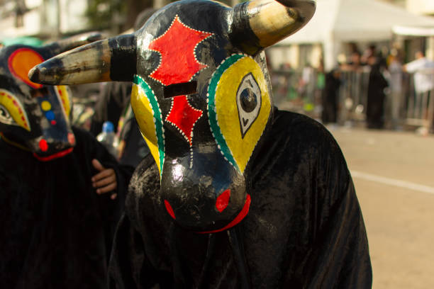 der kleine stier - cumbia stock-fotos und bilder