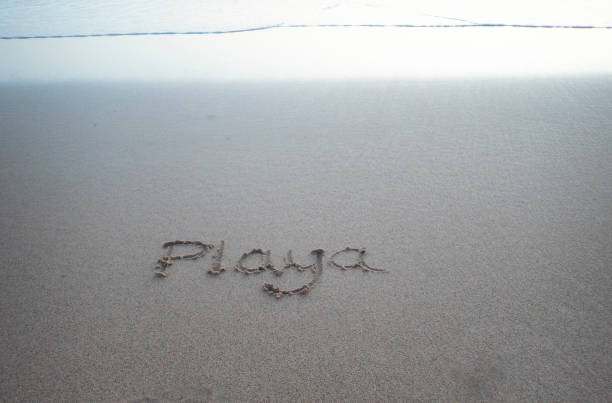Experience the simple joy of finding the word 'beach' delicately inscribed in the sandy canvas along the ocean shore. This picturesque scene captures the essence of coastal bliss, where the gentle waves and warm sand come together to create a tranquil and inviting atmosphere. Immerse yourself in the beauty of the seaside message and let the rhythmic sounds of the waves enhance the serenity of the moment
