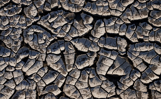 A pattern on dried silt. Dry land in the desert, Utah USA