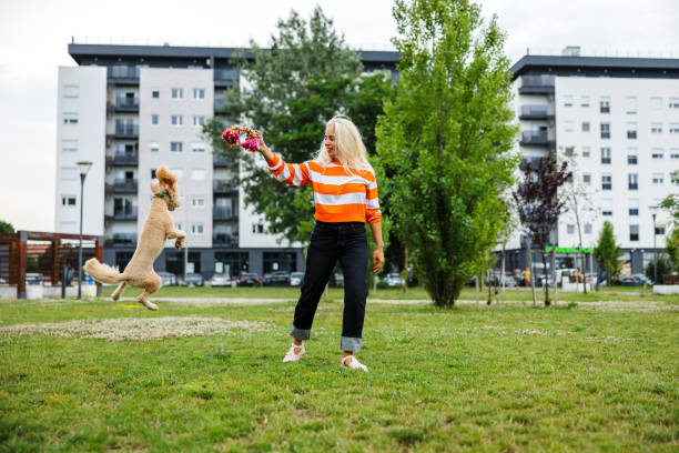 pet sitter caring about dogs. she is playing with dog outdoors - puppy dog toy outdoors - fotografias e filmes do acervo