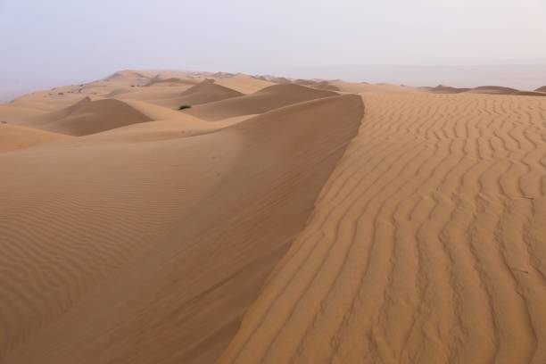 istock Wahiba Sands Desert, Oman 2002229240