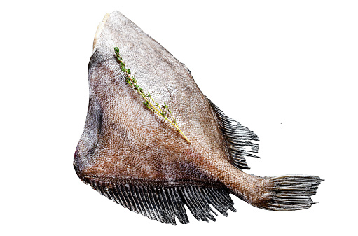 Raw fresh whole John Dory fish with spices and herbs for cooking. Isolated on white background. Top view
