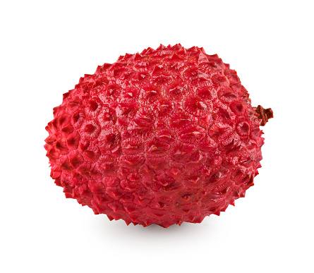 Fresh lychee isolated on white background. clipping path