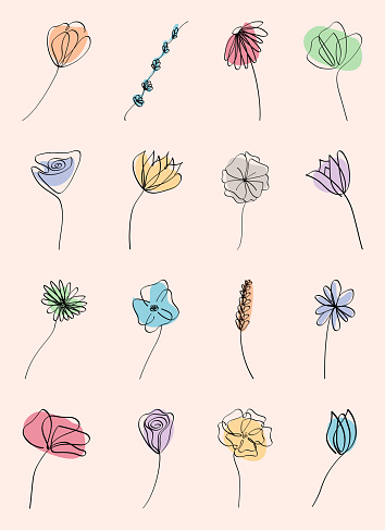 Set of minimal botanical graphic isolated on peach background