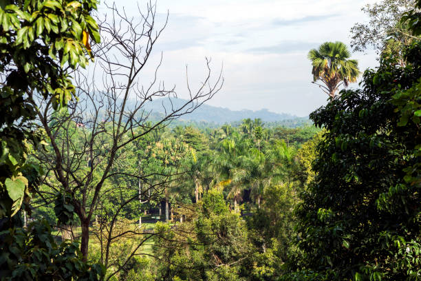 Landscape view from the temple of Borobudur in Java, Indonesia