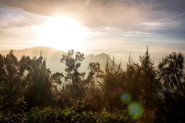 istock Indonesian volcano flanks and treeling view at sunrise 2002323132