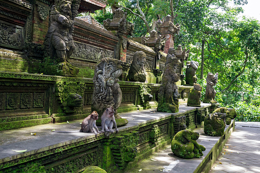 View of the Balinese monkeys and statues of the sacred monkey forest in Ubud