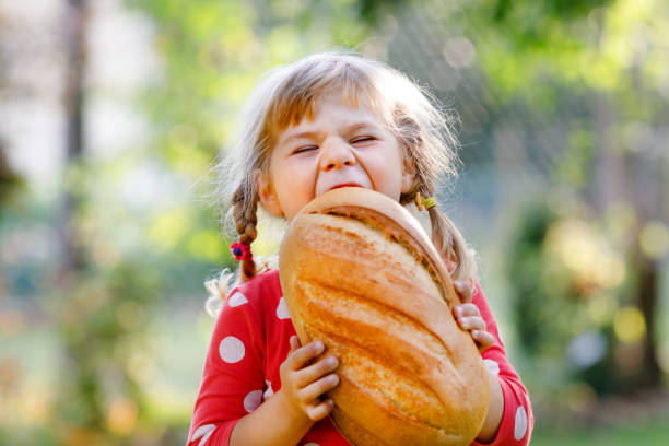 Little toddler girl holding big loaf of bread. Funny happy child biting and eating healthy bread, outdoors. Hungry kid. Little toddler girl holding big loaf of bread. Funny happy child biting and eating healthy bread, outdoors. Hungry kid mini wheat cereal stock pictures, royalty-free photos & images