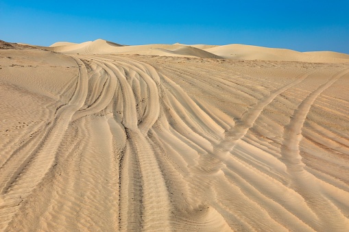 Desert landscape with tire tracks and trails, Al Ain - Abu Dhabi