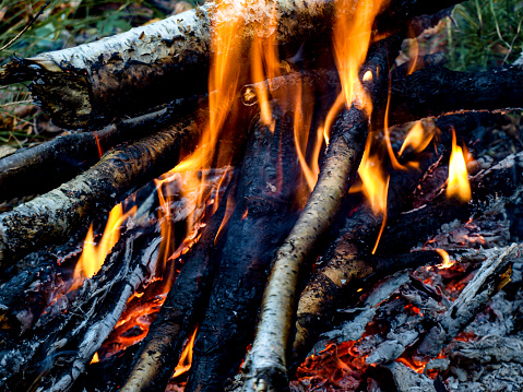 Dry grass burning in summer from heat