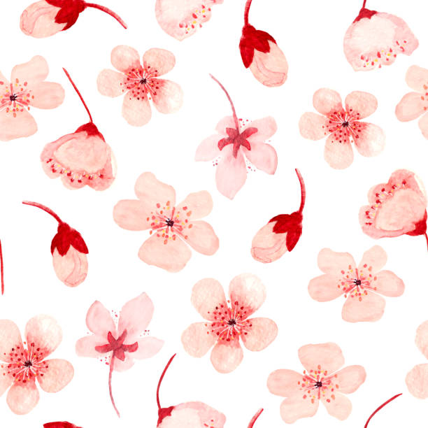 istock Watercolor hand drawn pink sakura flower seamless pattern isolated on white 2002361122