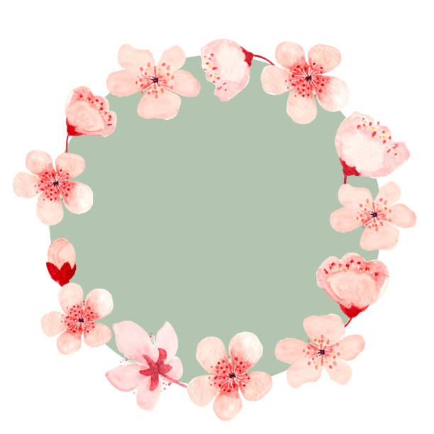 istock Watercolor hand drawn pink sakura flower branch round frame isolated on white 2002361144