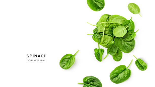 Fresh spinach leaves pile top view isolated on white background