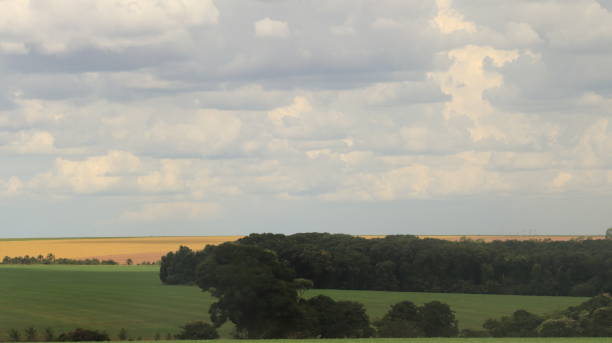 istock rural scene with trees and agribusiness 2002393606