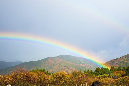 Beautiful rainbow scenery with autumn landscape with cloudy sky.