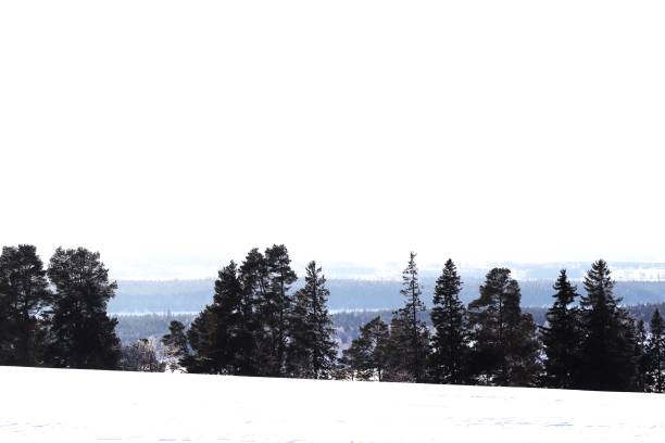 Storm clouds on horizon in snowy winter landscape, Sarobetsu, Hokkaido, Japan